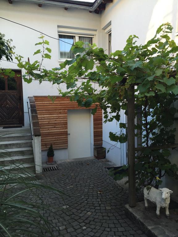 Pension Sunnseitn - Gasthof - Cafe - Weinkeller Haslach an der Mühl Exterior foto
